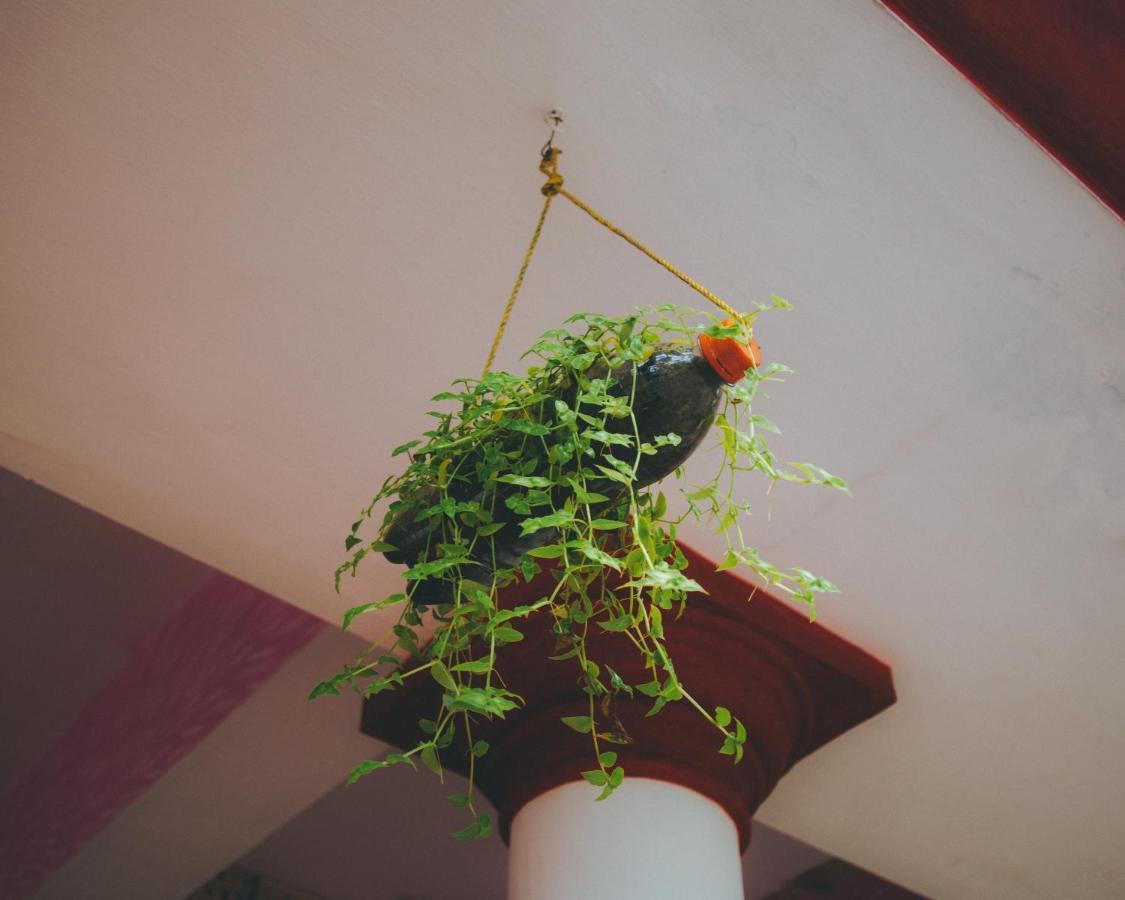 Hostelexp, Varkala - A Beach Town Hostel 외부 사진